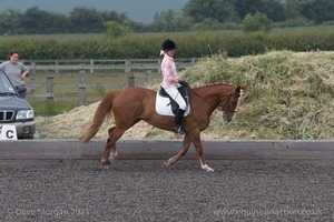 ISIS Dressage Challenge 2008